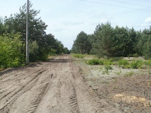 Grunt na sprzedaż 13 000 m2, Drawski Młyn koło Czarnkowa