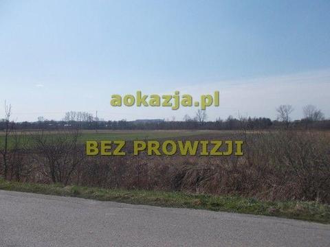 29ar działka rolna, Olchowa, Sędziszów Małopolski