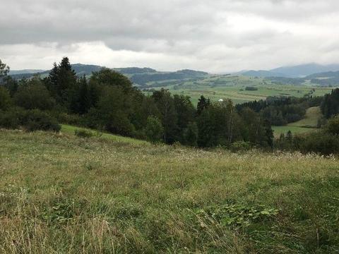 Okazja PILNE! Działka widokowa Luboń Wielki, Rabka Zdrój inwestycyjna, perspektywistyczna, widokowa