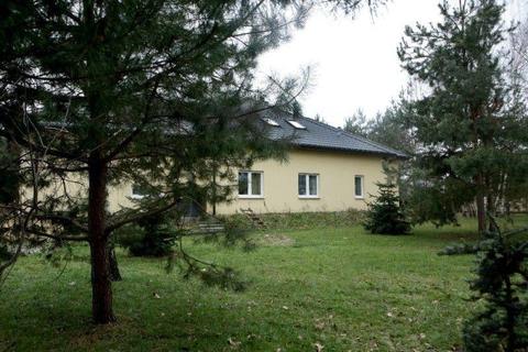 Dom z dużą działką na sprzedaż, Sierzchów