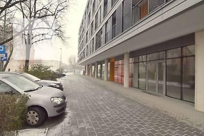 Lokal Kraków Kazimierz 132m2 (nr: 6733)