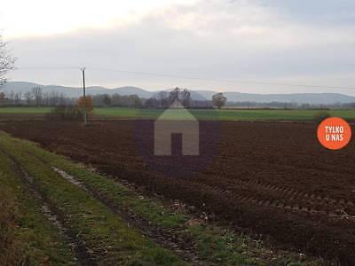 Działka rolna 5 km od Dzierżoniowa - wyłaczność