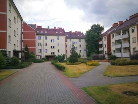 3-Pok + kuchnia, Od Zaraz, Bielany