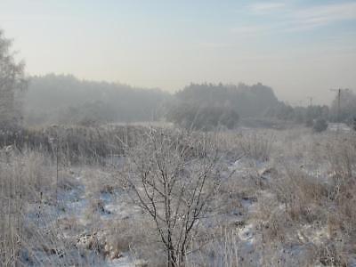 Działka Dąbrowa Górnicza Trzebiesławice 8792m2 (nr: 44384)