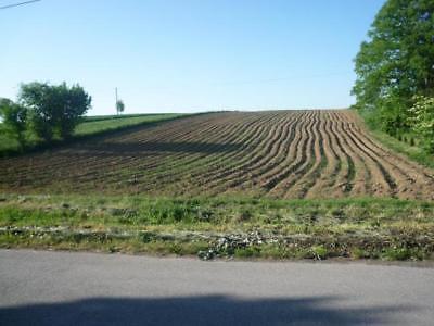 Działka Szczepanowice 12950m2 (nr: 531)