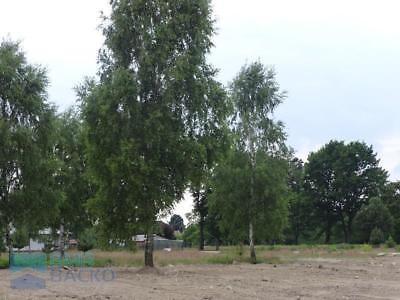 Działka budowlana 1500 m2 we Władkowie