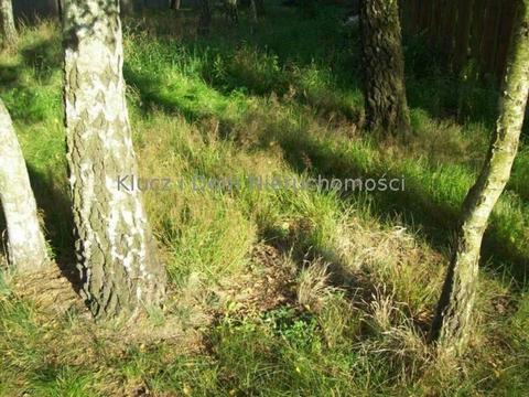 działka budowlana Wola Gołkowska 1100 mkw