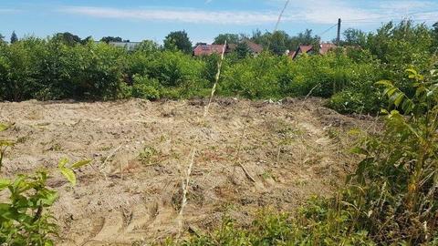 WOLA JUSTOWSKA!! DZIAŁKA BUDOWLANA O POW. 8,2a Z WZiZT NA DOM JEDNORODZINNY