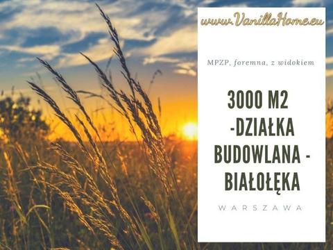 3000m2 - działka budowlana, MPZP, ładny widok - Warszawa Białołęka