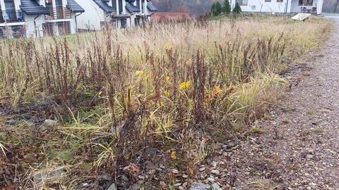 KONARY!! GM. MOGILANY!! DO SPRZEDAŻY DZIAŁKA BUDOWLANA O POW. 8a, UZBROJONA, OBOWIĄZUJE MPZP