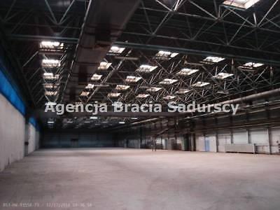 Lokal Kraków Podgórze 1000m2 (nr: BS3-HW-93558-73)