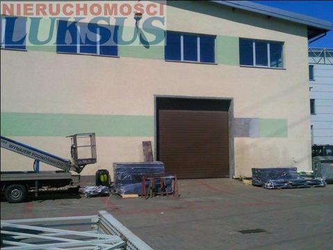 Lokal Piaseczno Piaseczno 1000m2 (nr: 16796)