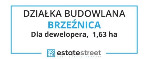 Działka inwestycyjna budowlana 1,63ha BRZEŹNICA