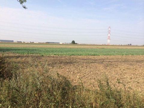Poznan Fabianowo ok. ul.Sycowskiej działka przemysłowa