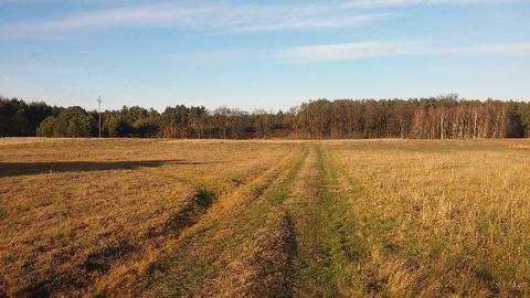 Działka budowlana w Starych Załubicach 1150 m2