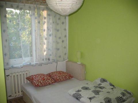 2 POKOJE *** 50 M2 *** CZERWIEŃSKIEGO *** AZORY