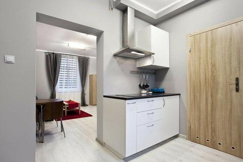 Apartament jednopokojowy z kuchnią i łazienką . wysoki standard