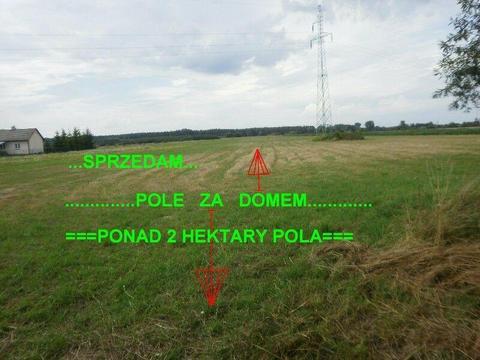 Sprzedam...Pole Za Domem-Dom Cegła-3 Działki Rolne = wieś Babicha...12 km. od Mielca