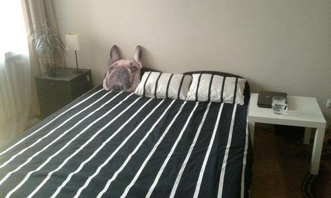 Pokój 2-osobowy (lub 1-os.) do wynajęcia CENTRUM Śródmieście, Al. 29 Listopada - przy U.Rolniczym