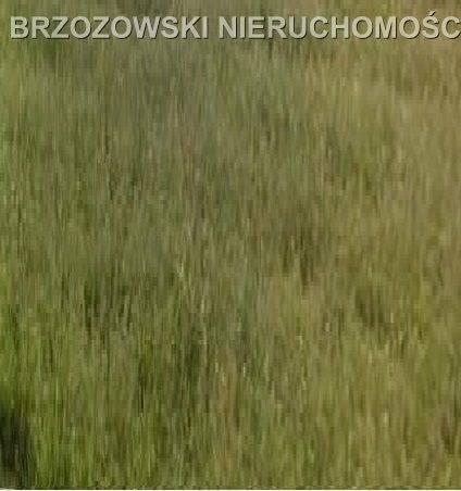 Wawer, działka 1017 m2
