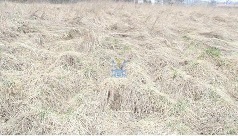 Kliny Borkowskie działka 7, 8a DO SPRZEDANIA