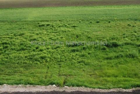 Działka Janinów 1600m2 (nr: 30140-1612)