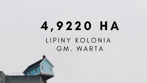 Łąka i las 4,92ha w jednym kawałku-Kolonia Lipiny gm. Warta idealna pod rekreacje