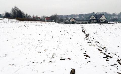 Tomaszowice 19ar budowlana przy asfalcie