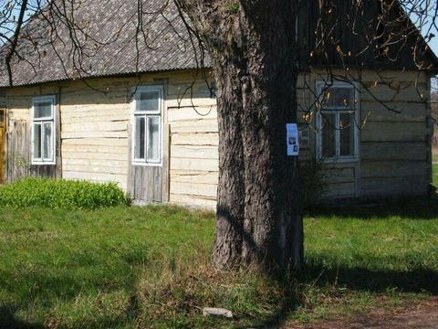 Działka 3900 m2 ul. Kasztanowa, Milejowice, gm. Zakrzew