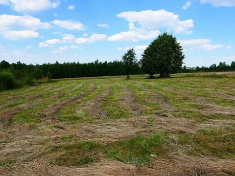 Działka budowlana w Krzyszkowicach